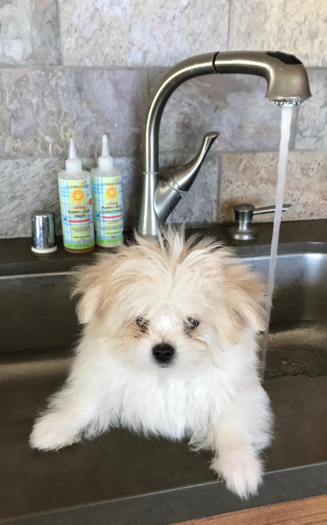Calming™ Puppy + Dog Wash &amp; Conditioner Set