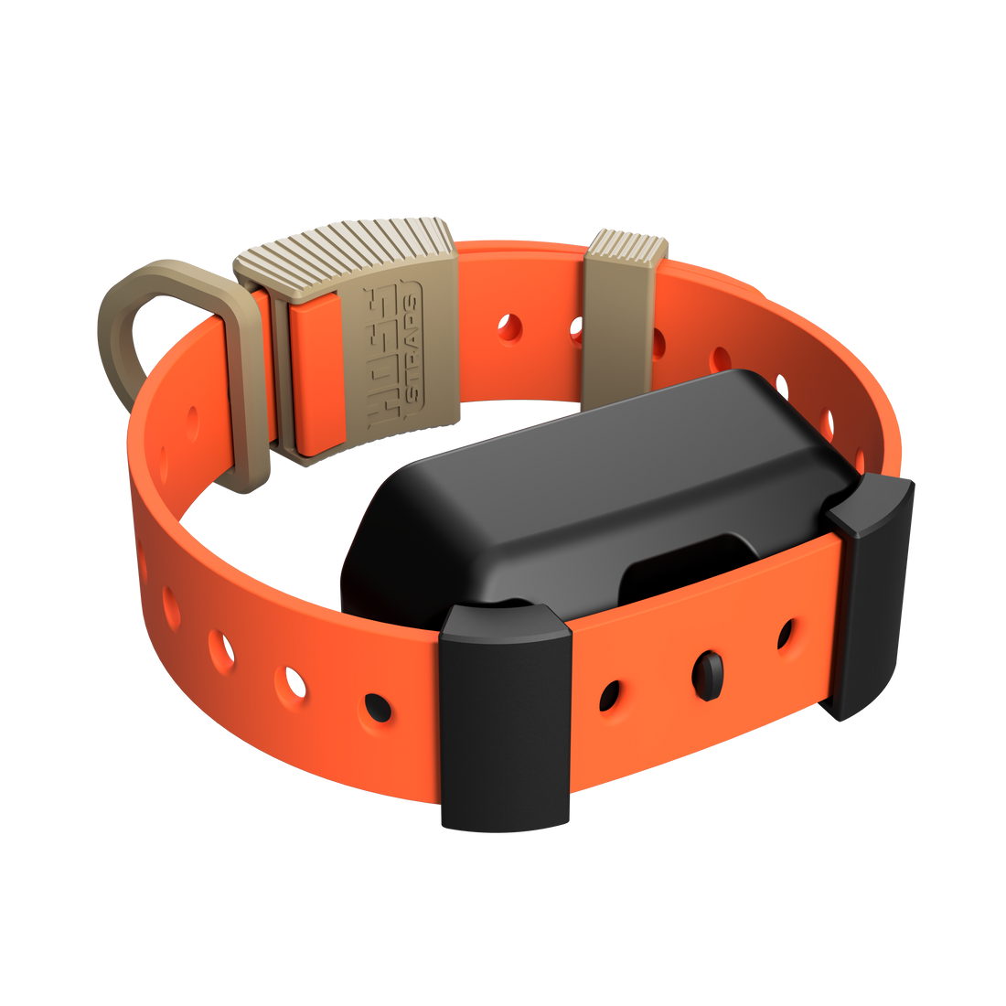 Training Collar Setup