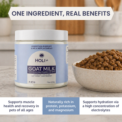 HOLI Powdered Goat Milk for Dogs &amp; Cats | Single-Ingredient Topper &amp; Milk Replacer