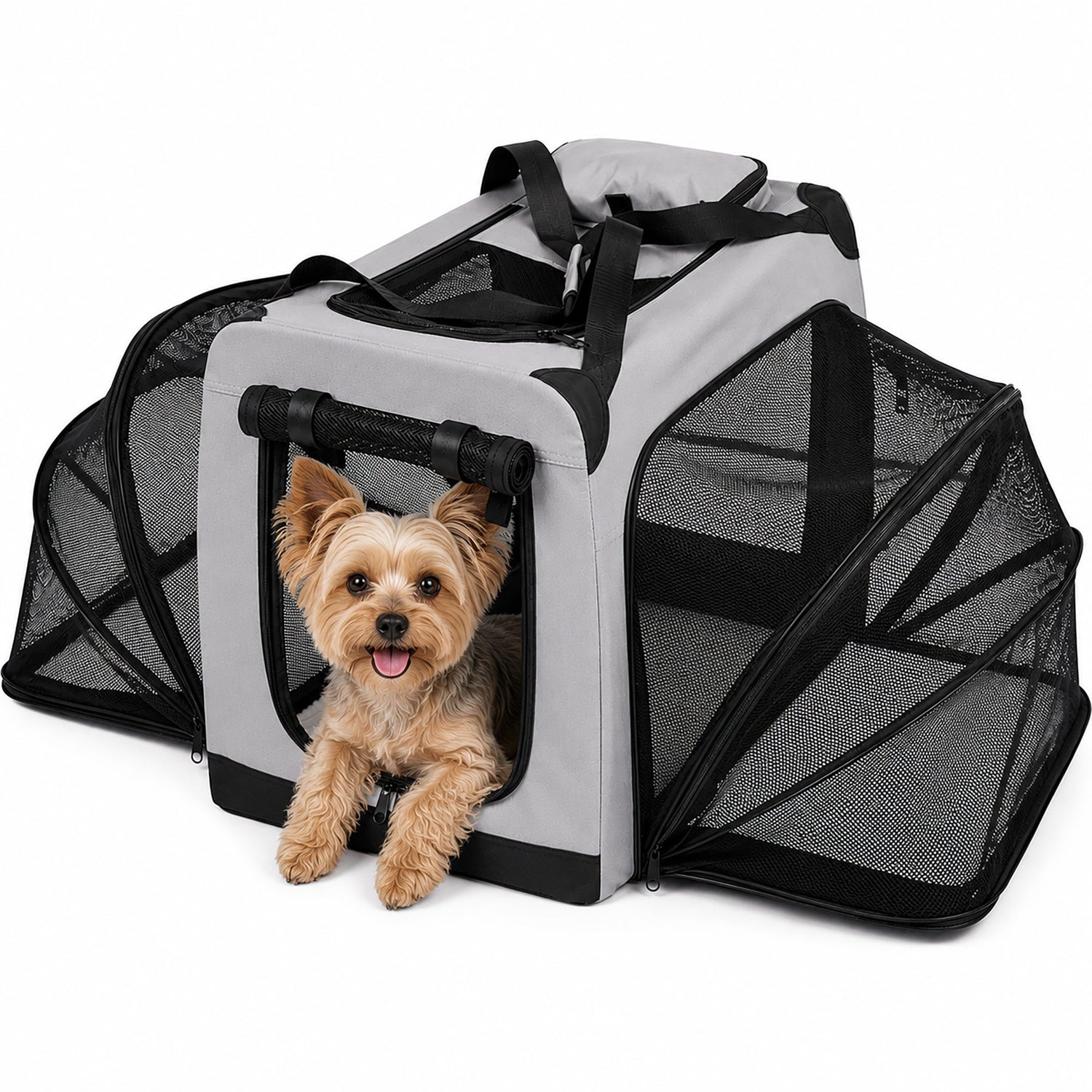 Pet Life ®  &