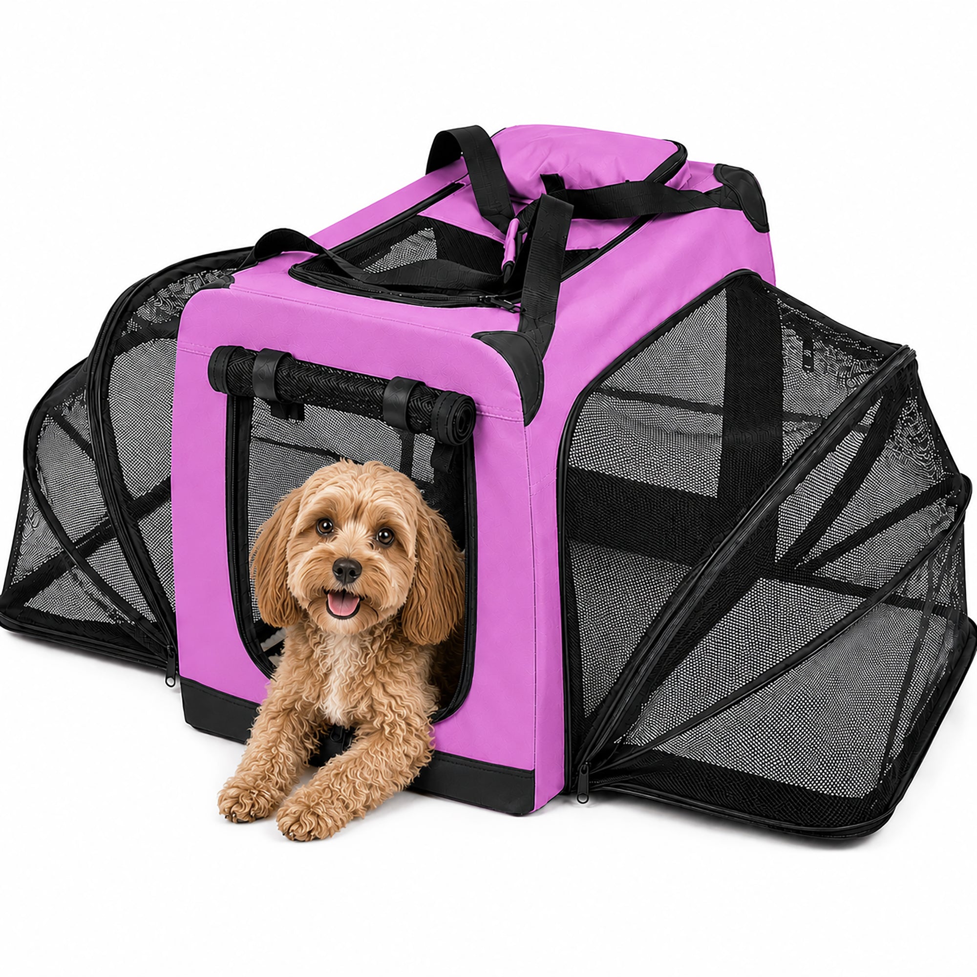 Pet Life ®  &