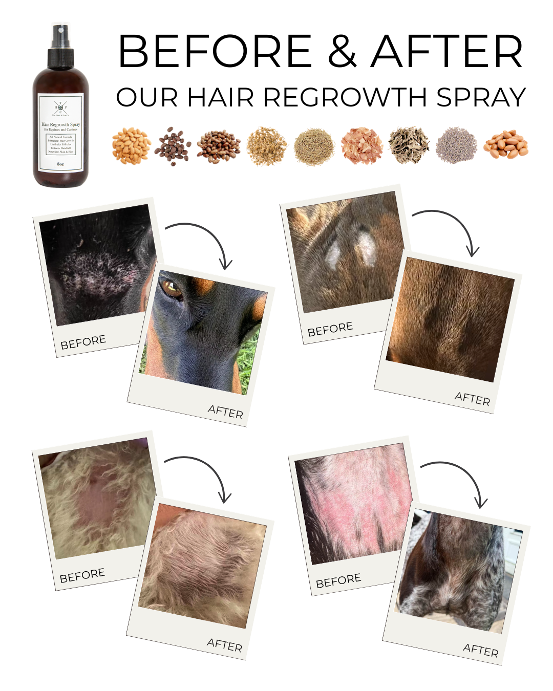 Hair Regrowth Spray for Dogs &amp; Horses