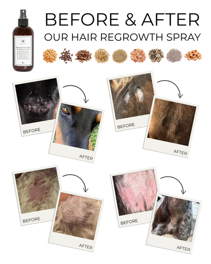 Hair Regrowth Spray for Dogs &amp; Horses