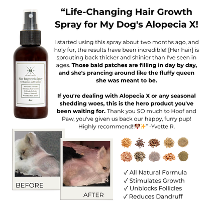 Hair Regrowth Spray for Dogs &amp; Horses