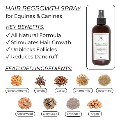 Hair Regrowth Spray for Dogs &amp; Horses