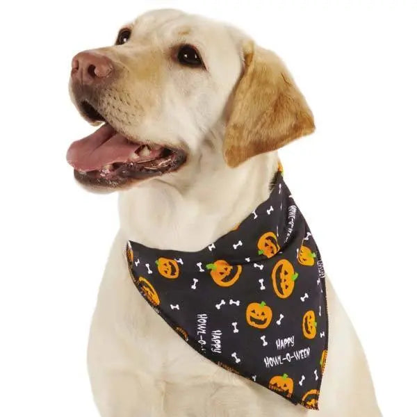 Aria Halloween Dog Bandana 19" Pumpkin &amp; Bone Design Howl-O-Ween Pet Accessory