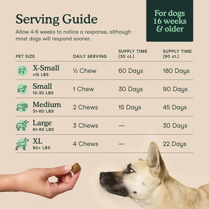 Hip &amp; Joint Supplement for Dogs – 90 Soft Chews, Glucosamine &amp; MSM