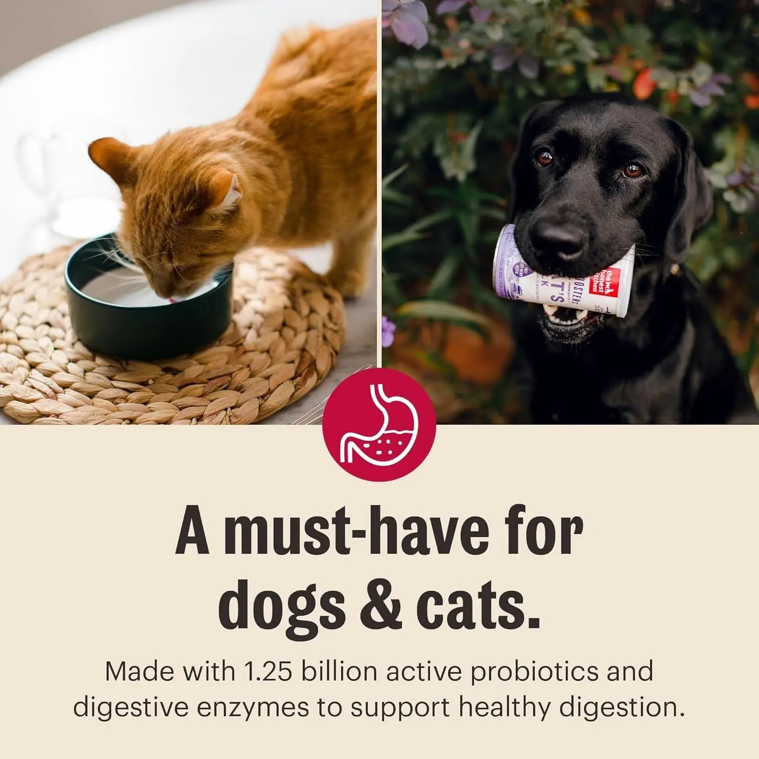 Honest Kitchen Goat Milk Powder Probiotics for Dogs &amp; Cats 5.2oz