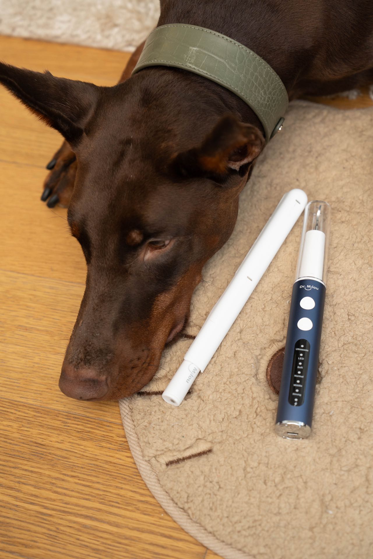 Anesthesia-Free Pet Dental Cleaning Kit: Professional Ultrasonic Tartar Remover &amp; Electric Toothbrush for Dogs &amp; Cats by Dr. Milou®