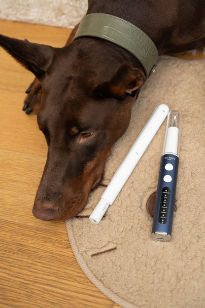 Anesthesia-Free Pet Dental Cleaning Kit: Professional Ultrasonic Tartar Remover &amp; Electric Toothbrush for Dogs &amp; Cats by Dr. Milou®