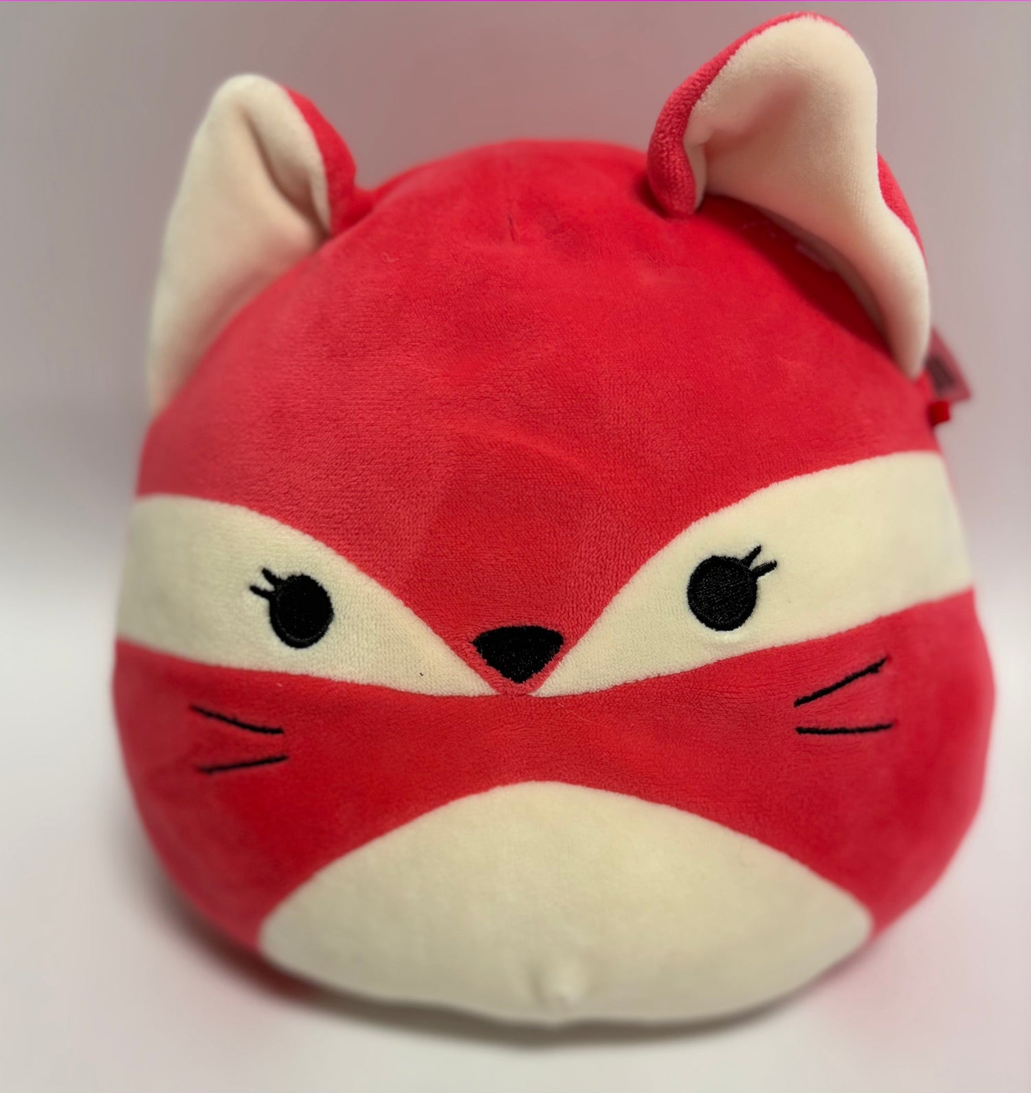 BOGO! Medium Squishy Cuddlers Super Soft Plush Pet Toys: Squeak &amp; NO Squeak