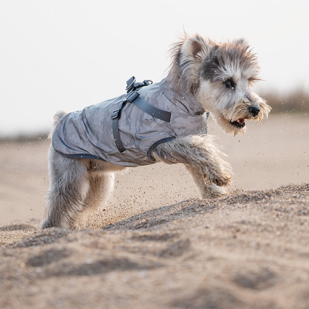 Milou &amp; Lumi Dog Waterproof Reflective Jacket with Harness