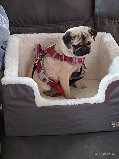 K&amp;H Rectangle Pet Booster Pet Dog Car Seat - Large Grey