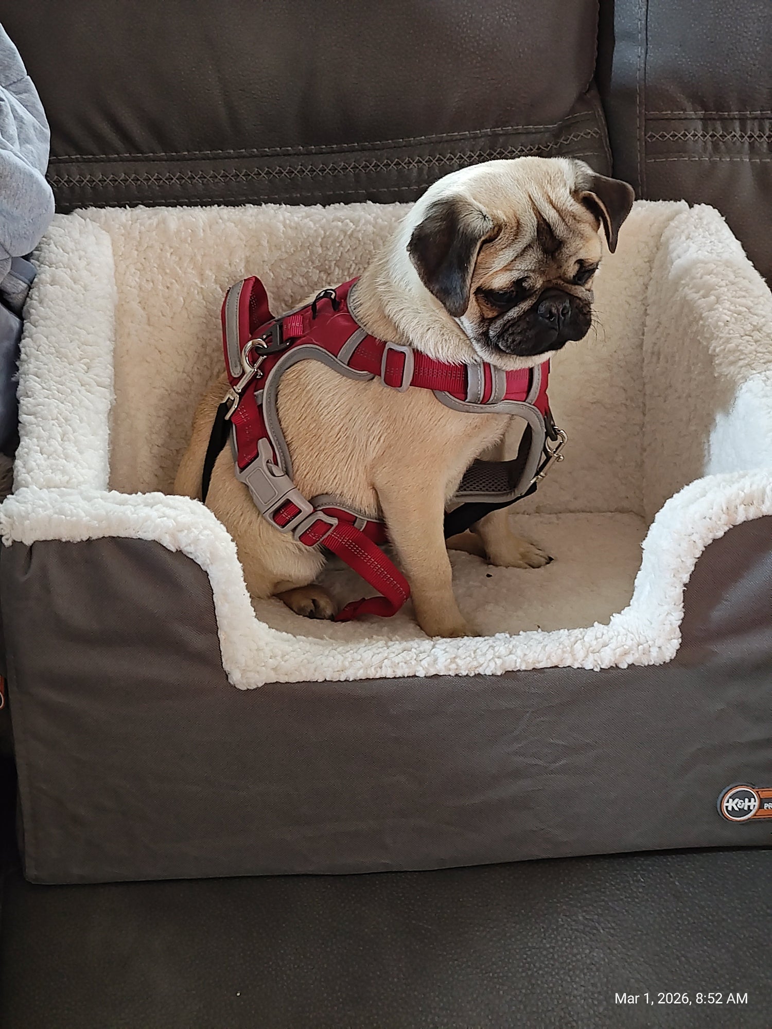 K&amp;H Rectangle Pet Booster Pet Dog Car Seat - Large Grey