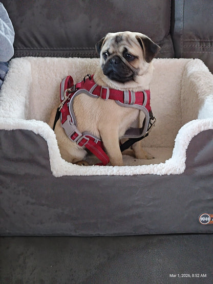 K&amp;H Rectangle Pet Booster Pet Dog Car Seat - Large Grey