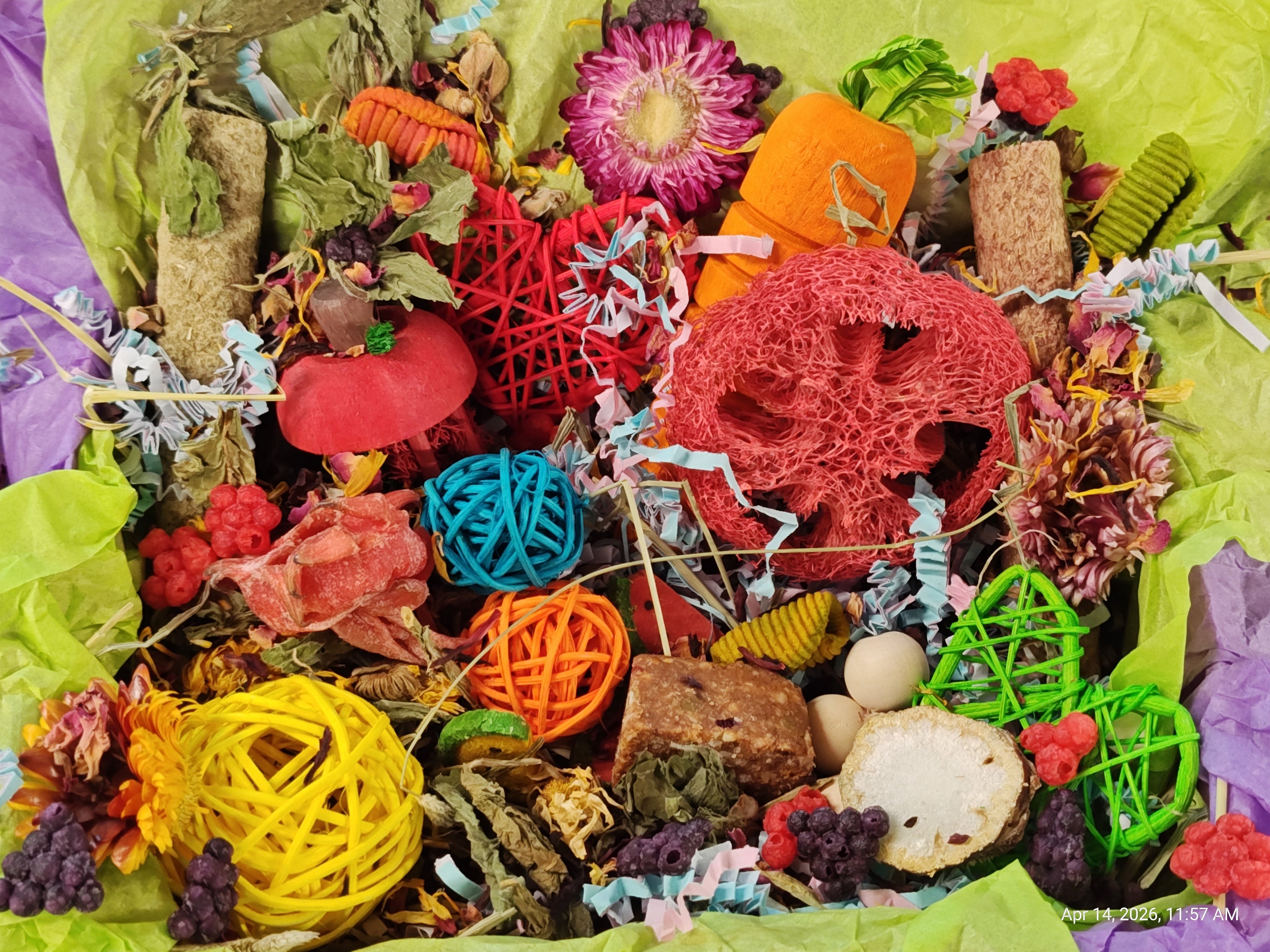 Ultimate Toy, Chew and Treat box for Guinea Pigs, Chinchillas, Rabbits