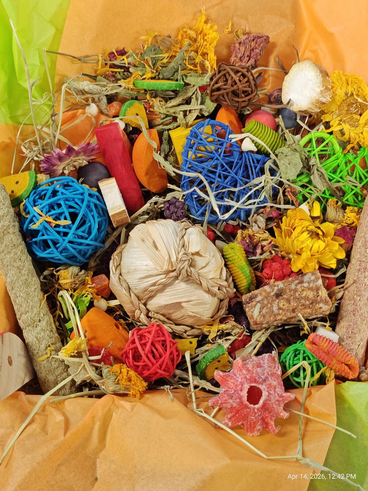 "Ultimate" Toy, Chew and Treat Box - Chinchillas, Guinea Pigs, Rabbits