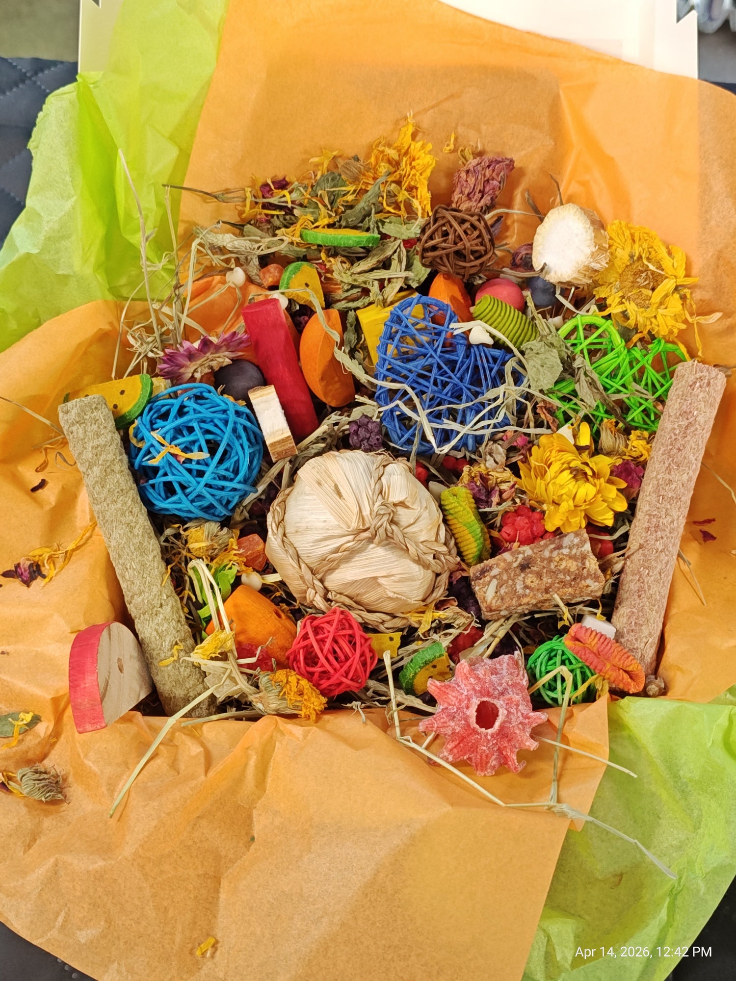 Ultimate Toy, Chew and Treat box for Guinea Pigs, Chinchillas, Rabbits