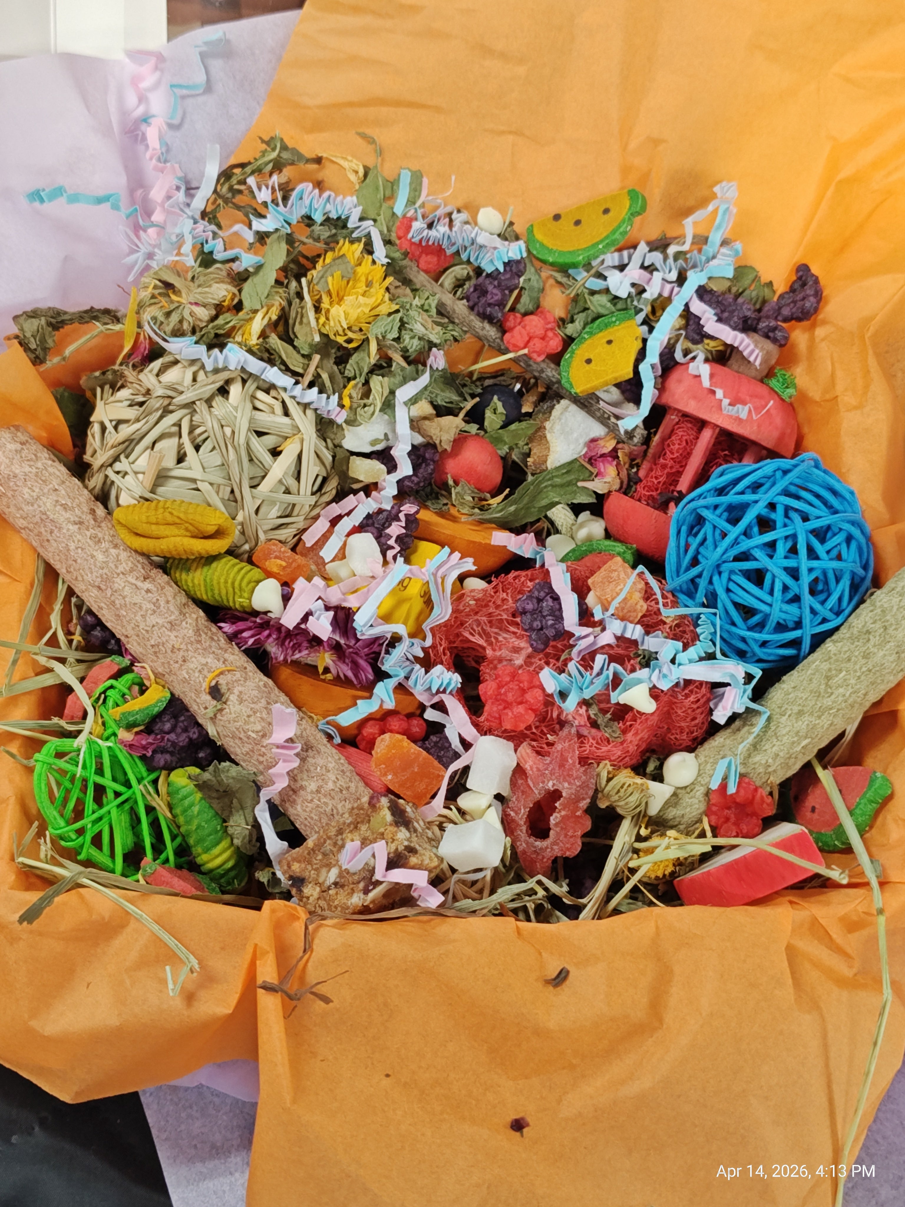 Ultimate Toy, Chew and Treat box for Guinea Pigs, Chinchillas, Rabbits