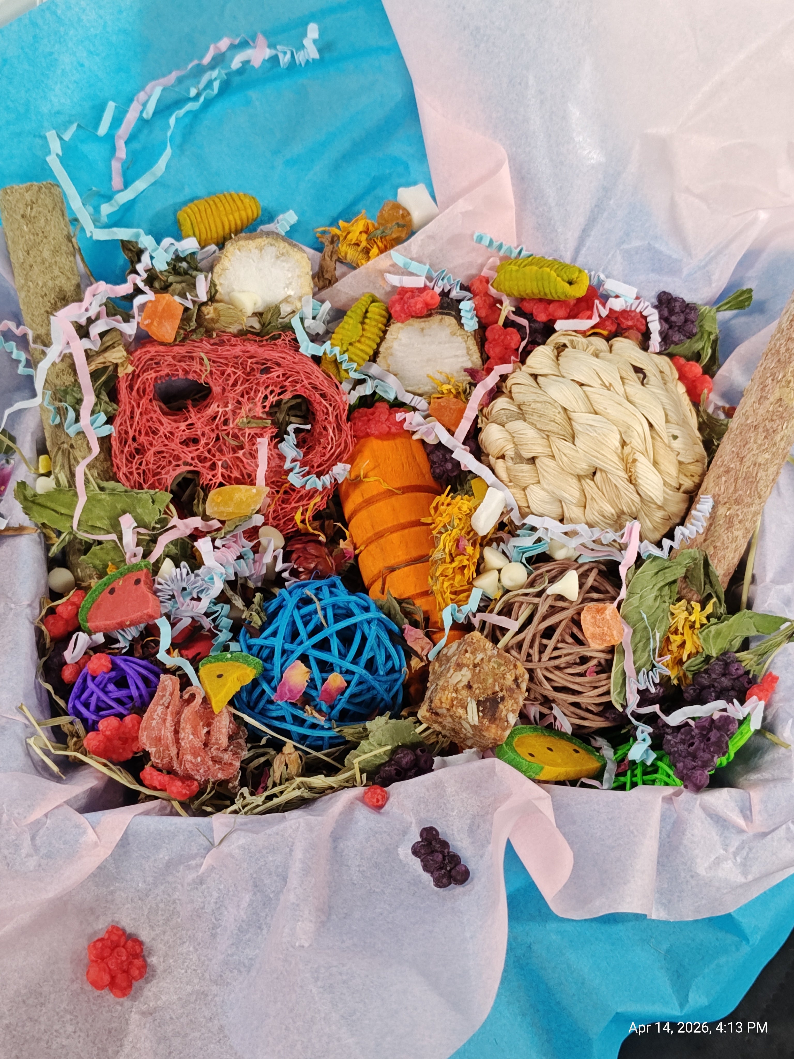 Ultimate Toy, Chew and Treat box for Guinea Pigs, Chinchillas, Rabbits