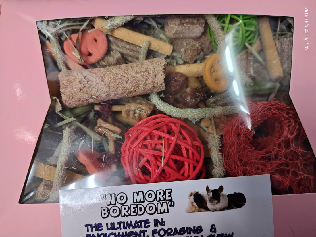 Fun ,Forage &amp; Chew "No More Boredom" Box 12 OZ- Chinchillas, Guinea Pigs, Rabbits