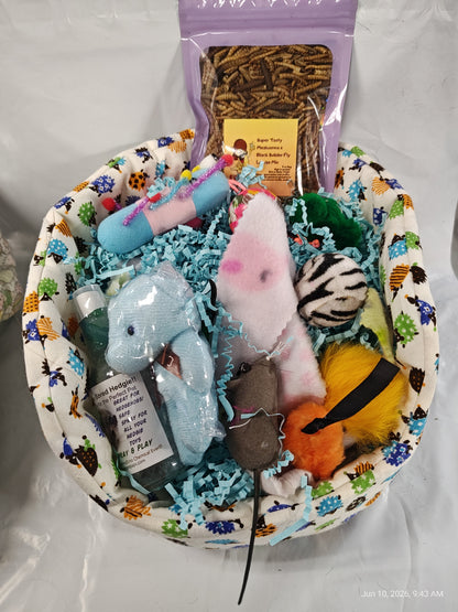 Cuddle Cup dig Box  Lots of toys Great for Hedgehogs &amp; Exotics