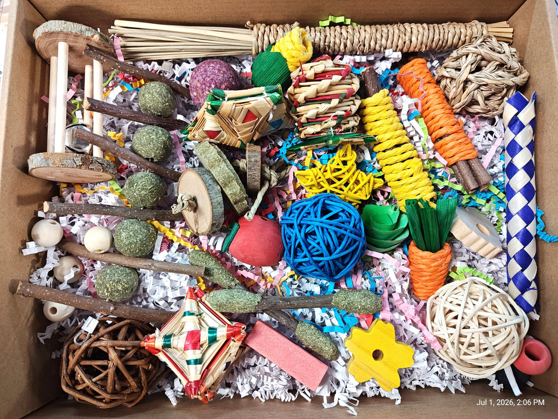 Ultimate Toy Box for Your Chinchilla, Rabbit, Guinea Pig or Rat &amp; More Color or Natural