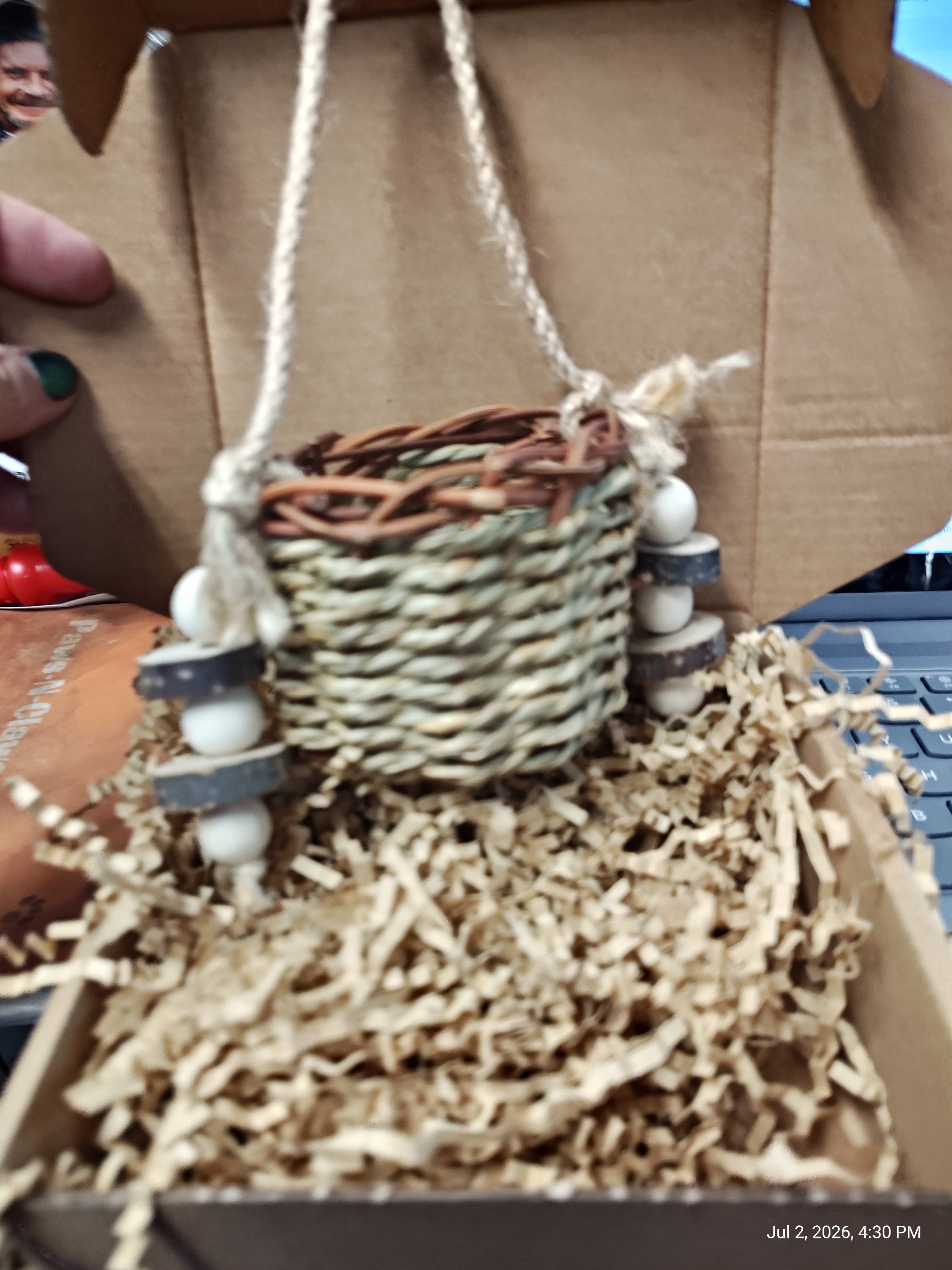 Play &amp; Chew Toys &amp; More Perfect for Cavy, Rabbits &amp; Rodents