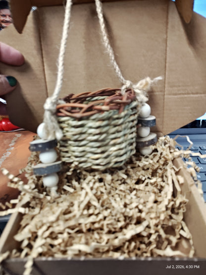 Play &amp; Chew Toys &amp; More Perfect for Cavy, Rabbits &amp; Rodents