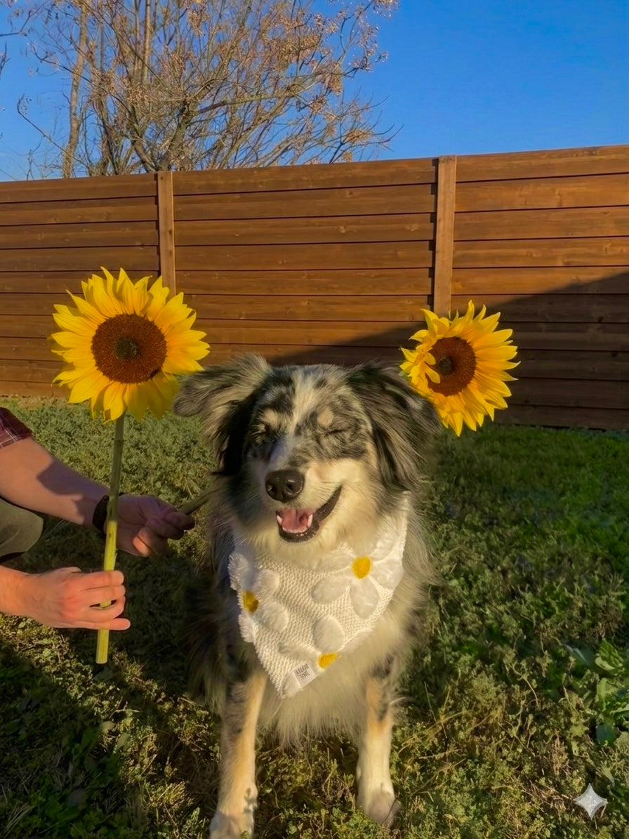 Fluffy Daisy Jacquard Dog Bandana