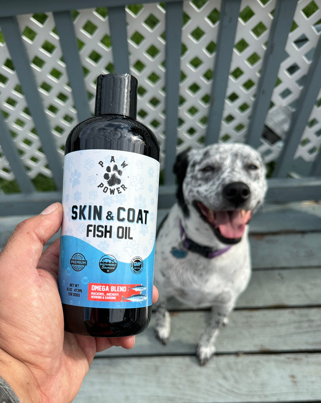 Dawg Health Skin &amp; Coat