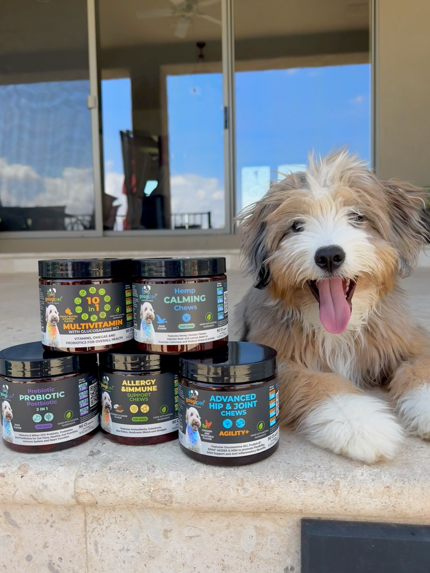 Allergy &amp; Immune Support Chews for Dogs (Coconut &amp; Carob Flavor)