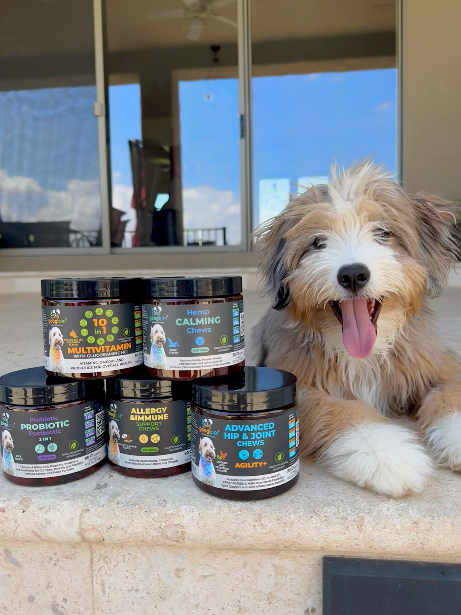 Allergy &amp; Immune Support Chews for Dogs (Peanut Butter Flavor)