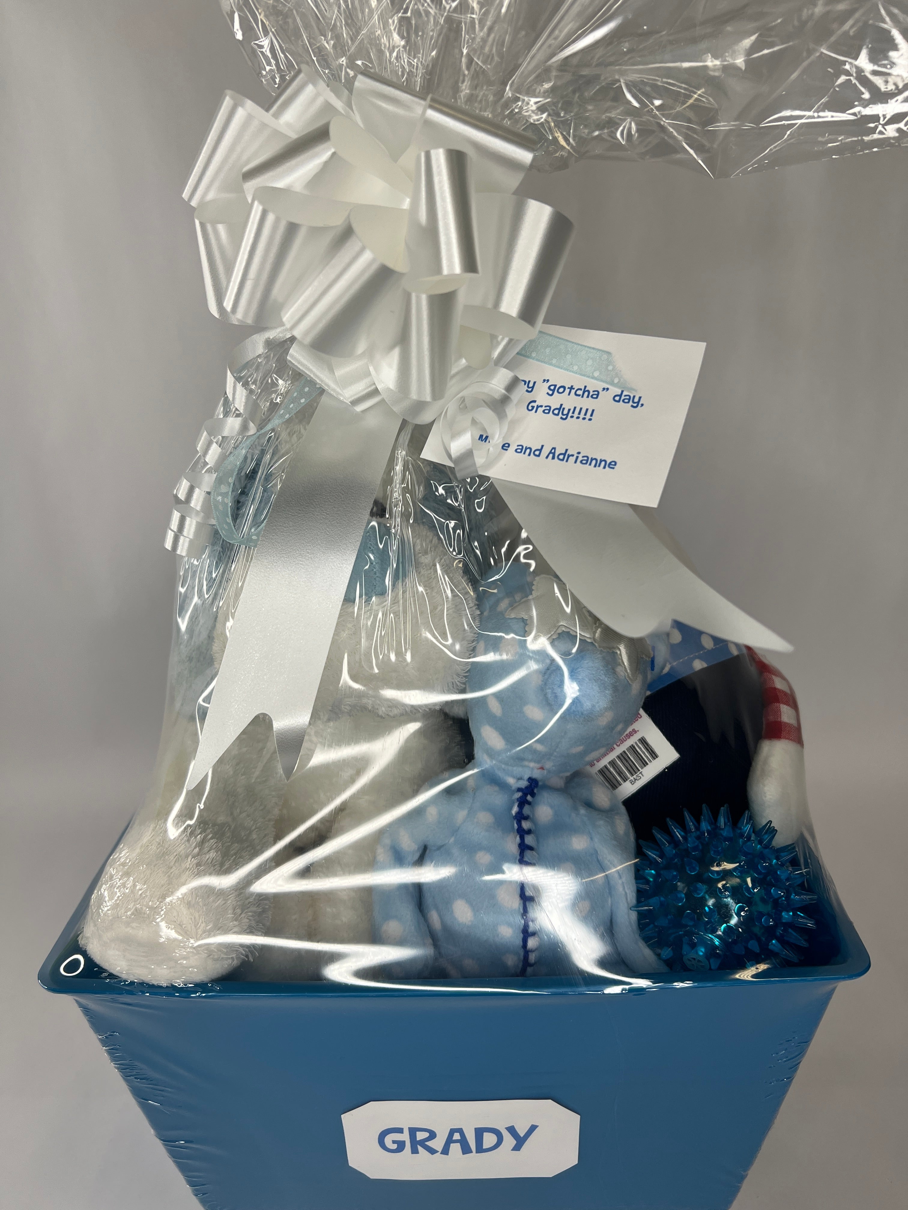 Boy-oh-Boy SQUEAKY Gift Basket for Dogs &amp; Puppies: 3 Sizes