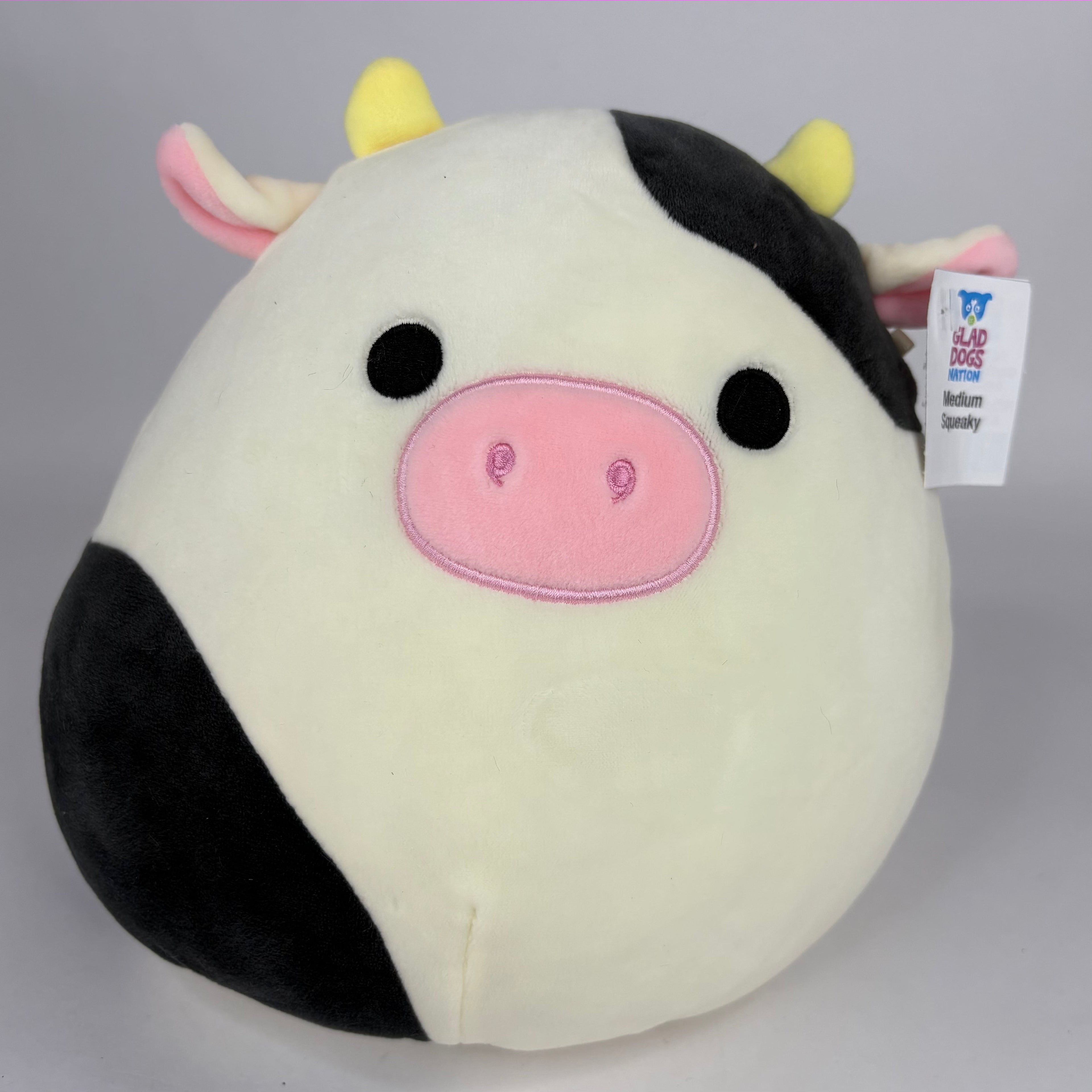 BOGO! Medium Squishy Cuddlers Super Soft Plush Pet Toys: Squeak &amp; NO Squeak