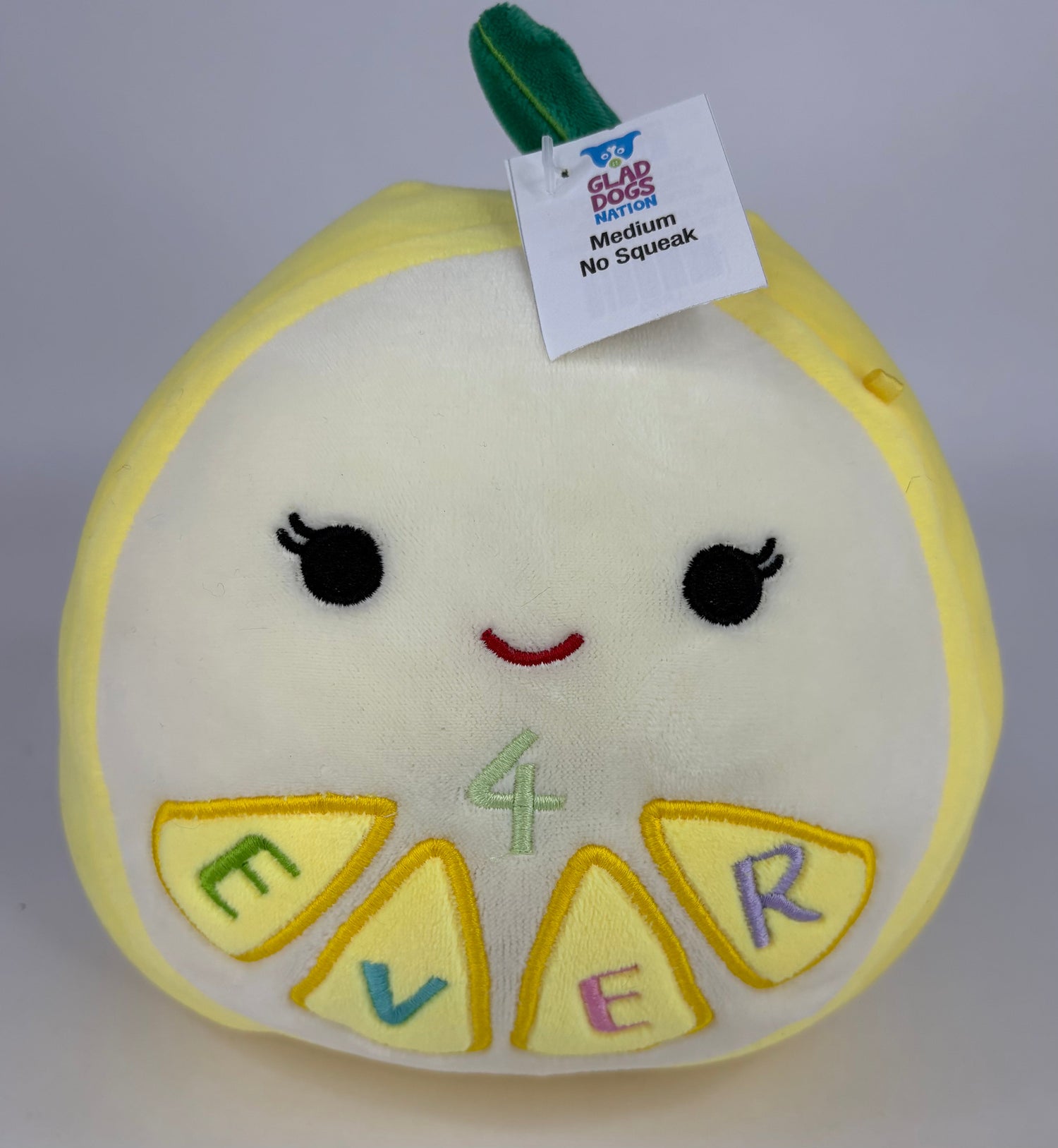 BOGO! Medium Squishy Cuddlers Super Soft Plush Pet Toys: Squeak &amp; NO Squeak