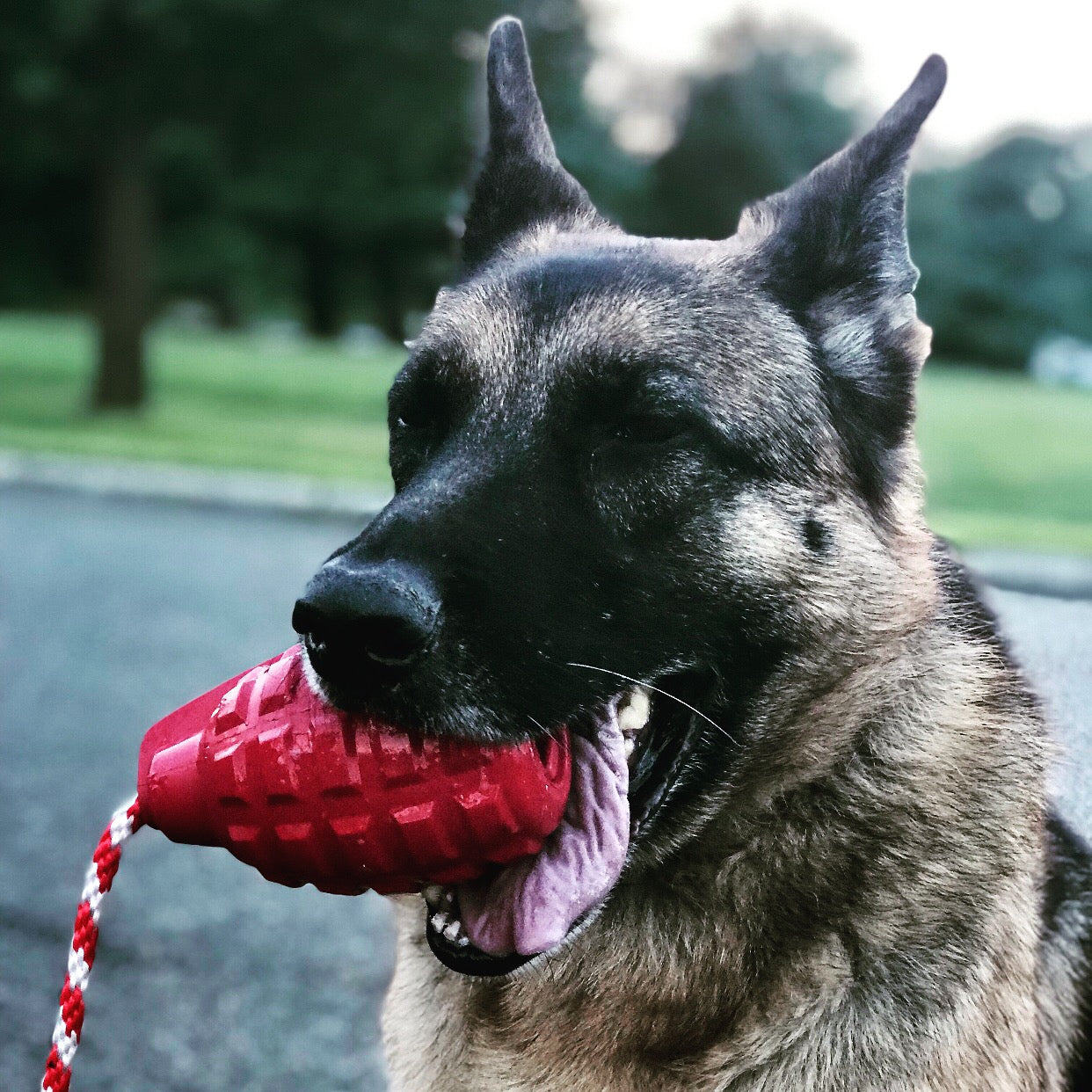 USA-K9 Grenade Shaped Rubber Dog Toy - Chew, Treat Dispenser &amp; Tug Toy | USA