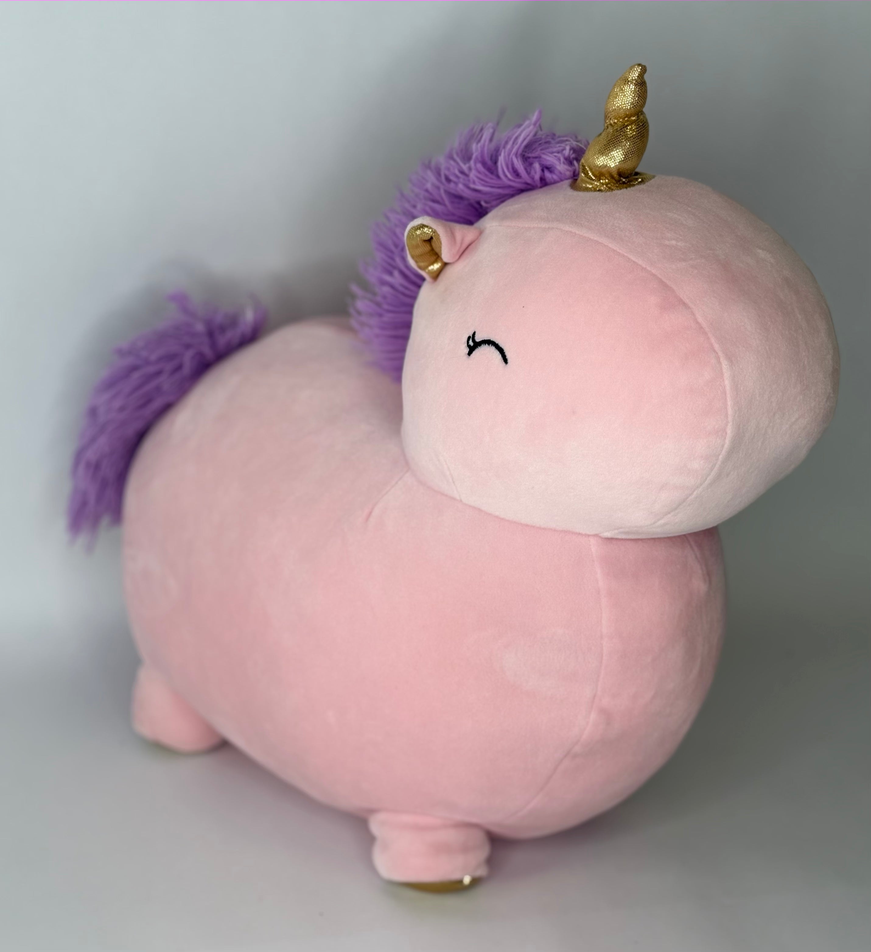 BOGO! Large Squishy Cuddlers Super Soft Plush Pet Toys: Squeak &amp; NO Squeak