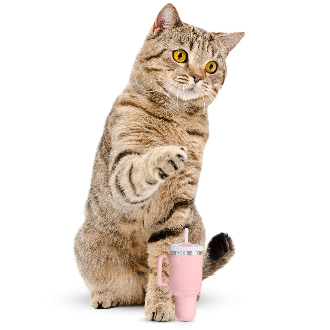PUPROAR Kitty Cup Cat Toy | Cute Catnip &amp; Crinkle Plush Cat Toy