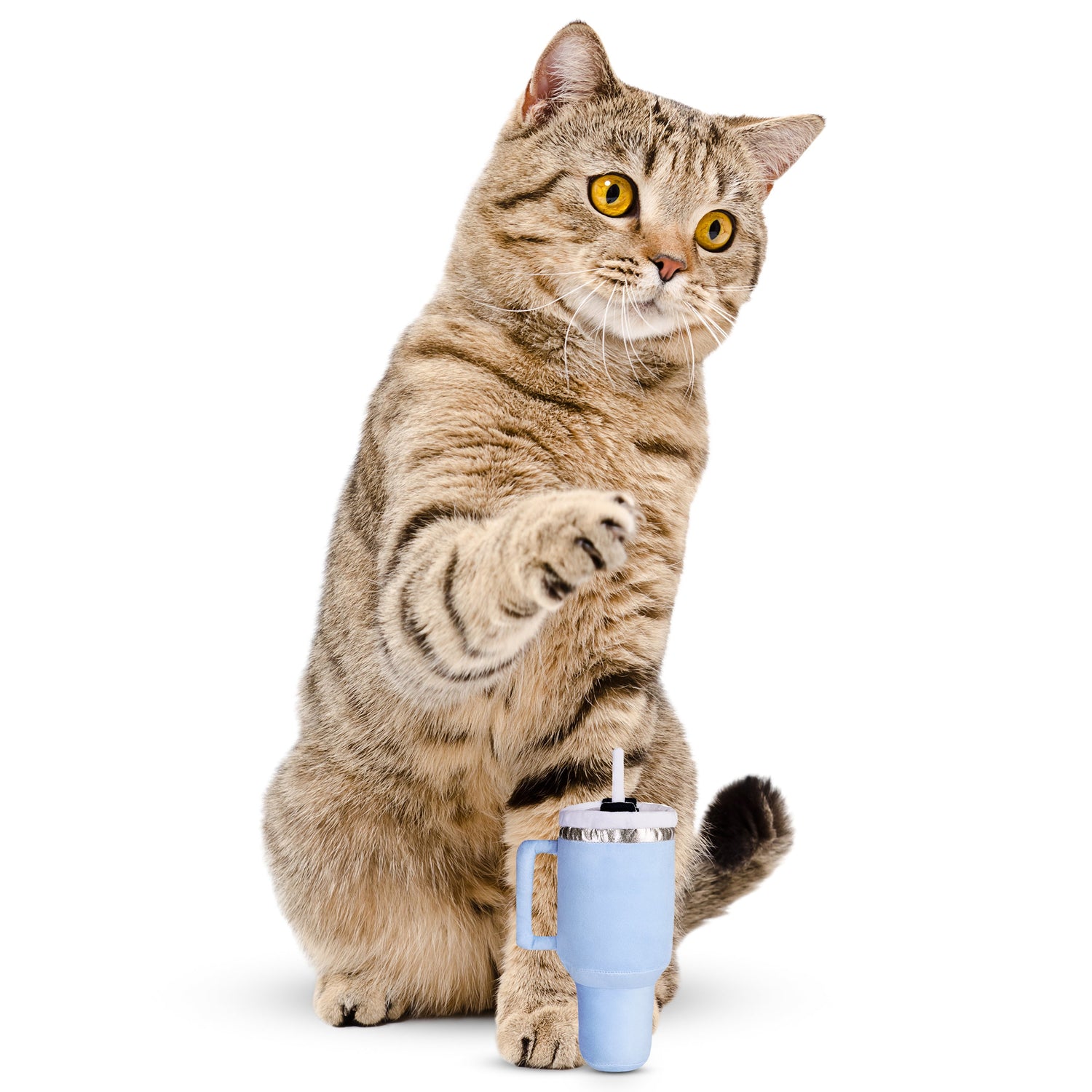 PUPROAR Kitty Cup Cat Toy | Cute Catnip &amp; Crinkle Plush Cat Toy