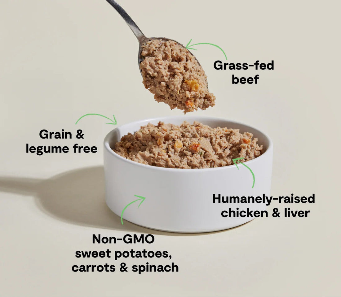 Open Farm Grain Free Chicken &amp; Beef Pate Wet Dog Food (12.5oz)