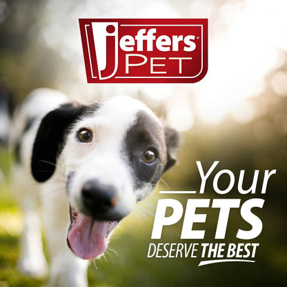 Jeffers Pet Tearless All-Purpose All-Natural Coconut Oil Shampoo for Dogs &amp; Cats