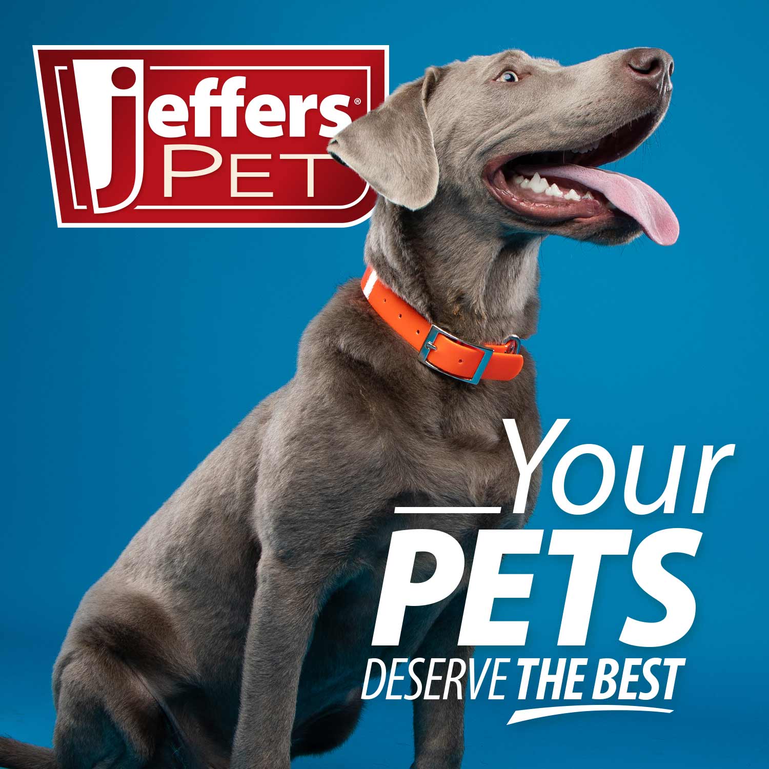 Jeffers Uracid DL-Methionine 0.2g Capsules for Dogs &amp; Cats – Supports Urinary Tract, Reduces Urine Odor, Prevents Stones