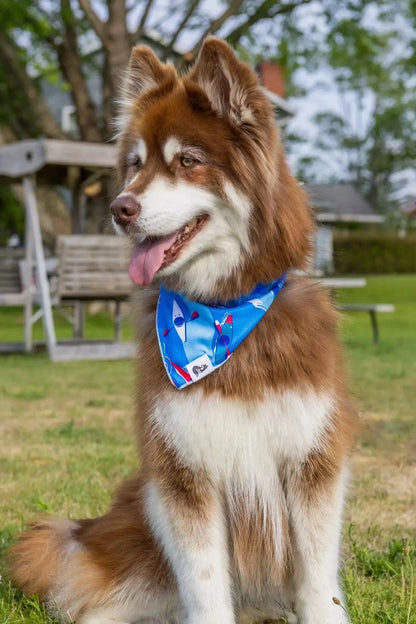 K9 Kayak Dog Bandana &amp; Matching Keychain