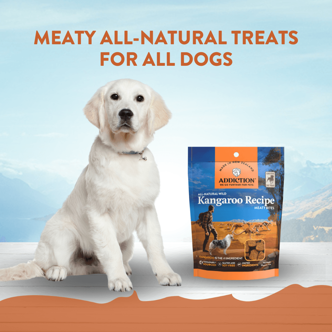 Addiction Kangaroo Air-Dried Dog Food &amp; Treats Duo