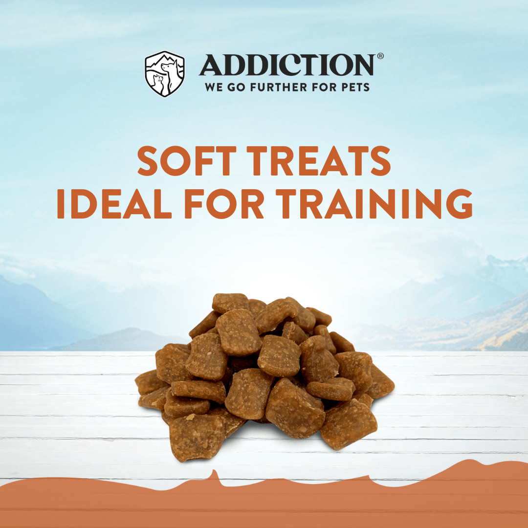 Addiction Wild Kangaroo Dry Dog Food &amp; Meaty Bites Dog Treats Bundle