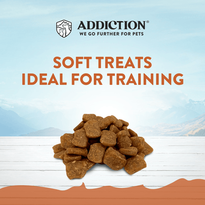 Addiction Wild Kangaroo Dry Dog Food &amp; Meaty Bites Dog Treats Bundle