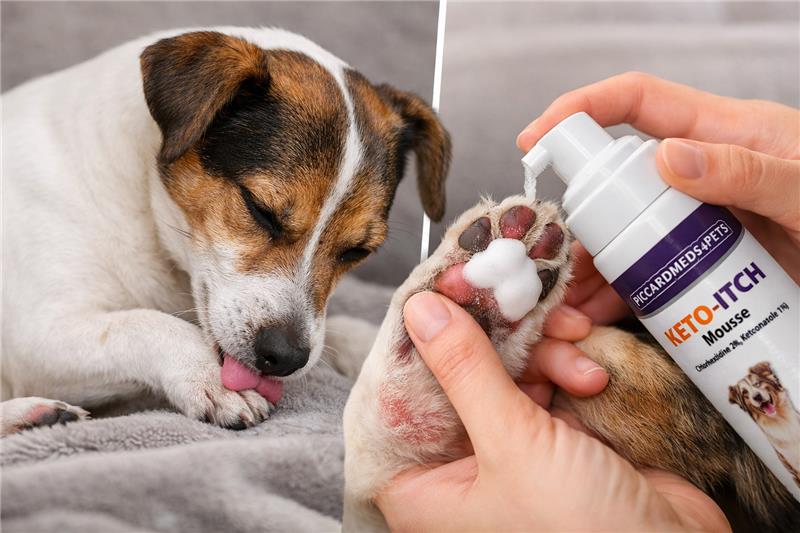 Piccardmeds4pets Keto-Itch Plus Antiseptic Mousse for Cats &amp; Dogs 7 oz. + FREE Bandana!