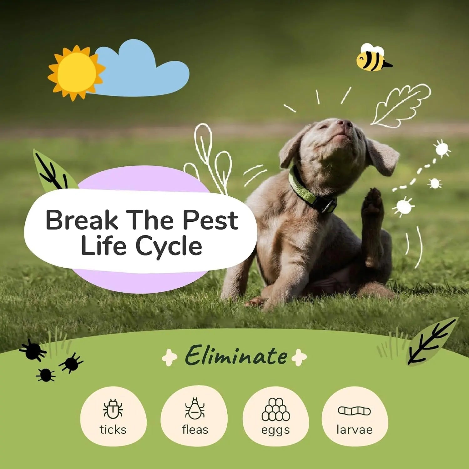 Kin+Kind Flea &amp; Tick Dog Shampoo – Plant-Based Lavender Treatment, 12 oz