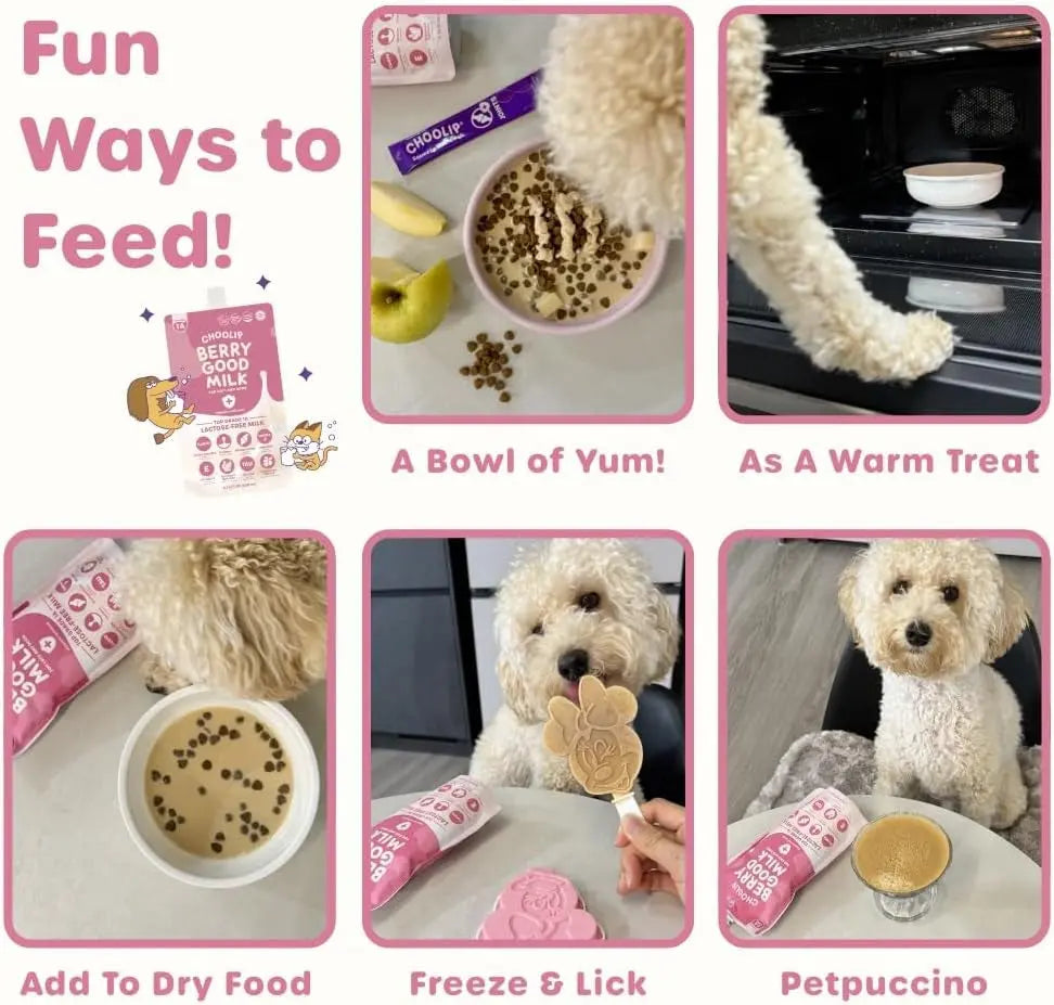 Lactose-Free Vitamin Milk for Cats &amp; Dogs, 10-Pack Pet Nutrition Drink
